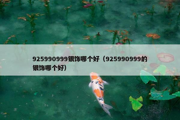925990999银饰哪个好（925990999的银饰哪个好）