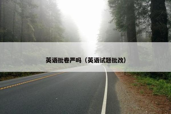 英语批卷严吗（英语试题批改）