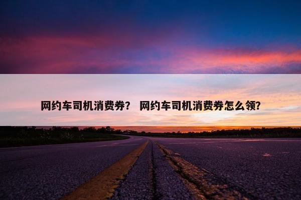 网约车司机消费券？ 网约车司机消费券怎么领？