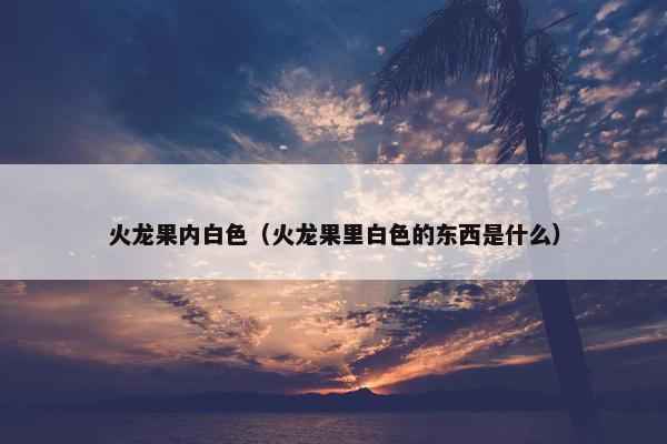 火龙果内白色（火龙果里白色的东西是什么）