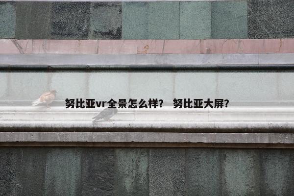 努比亚vr全景怎么样? 努比亚大屏? 努比亚vr全景怎么样? 努比亚大屏?