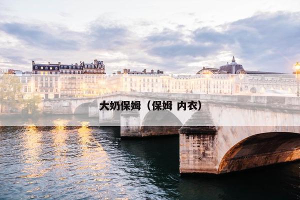 大奶保姆（保姆 内衣）