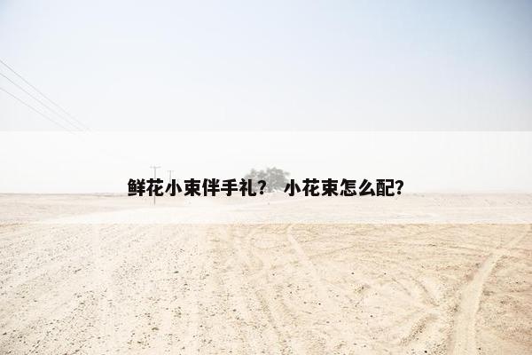鲜花小束伴手礼？ 小花束怎么配？
