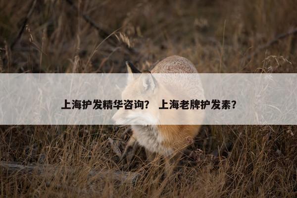 上海护发精华咨询？ 上海老牌护发素？