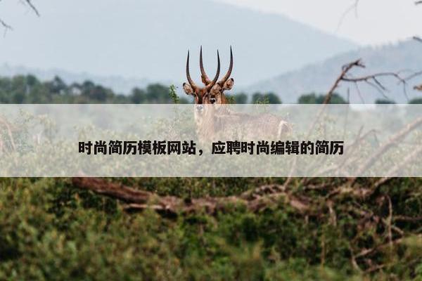 时尚简历模板网站，应聘时尚编辑的简历