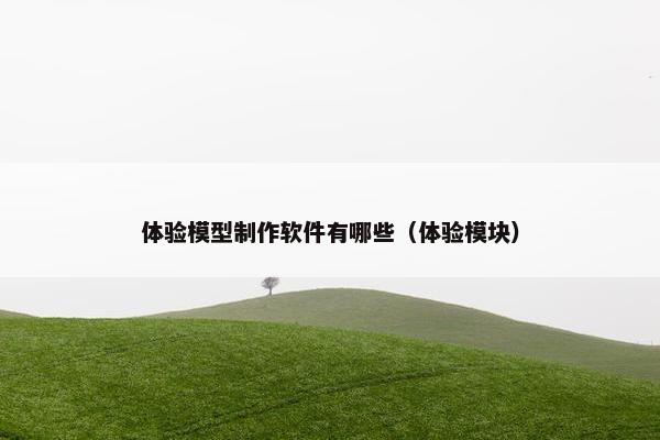 体验模型制作软件有哪些（体验模块）
