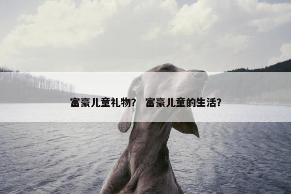 富豪儿童礼物？ 富豪儿童的生活？
