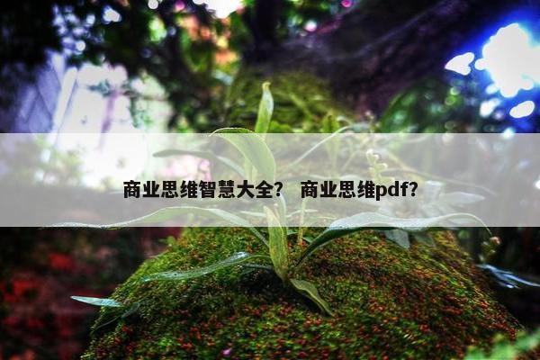 商业思维智慧大全？ 商业思维pdf？