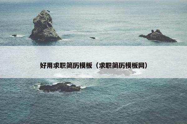 好用求职简历模板（求职简历模板网）