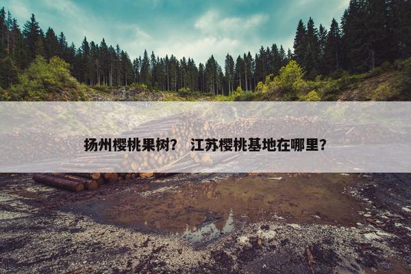 扬州樱桃果树？ 江苏樱桃基地在哪里？
