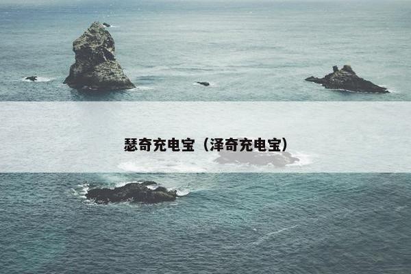 瑟奇充电宝（泽奇充电宝）