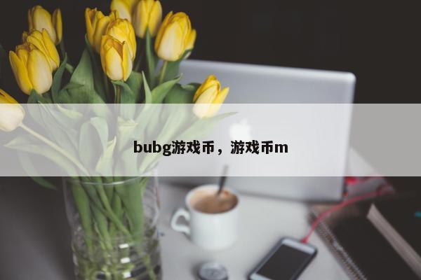 bubg游戏币，游戏币m
