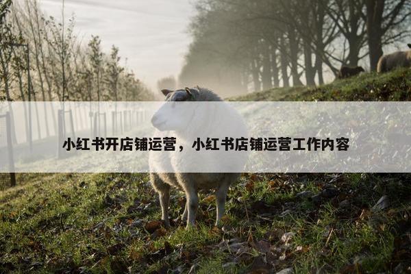 小红书开店铺运营,小红书店铺运营工作内容 小红书开店铺运营,小红书店铺运营工作内容