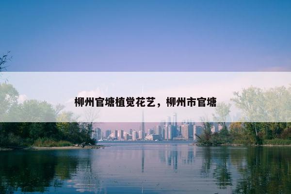 柳州官塘植觉花艺，柳州市官塘