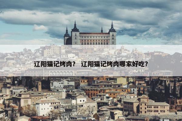 辽阳猫记烤肉？ 辽阳猫记烤肉哪家好吃？