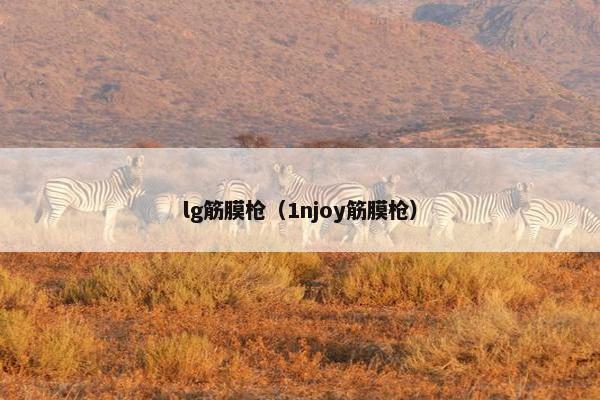lg筋膜枪（1njoy筋膜枪）