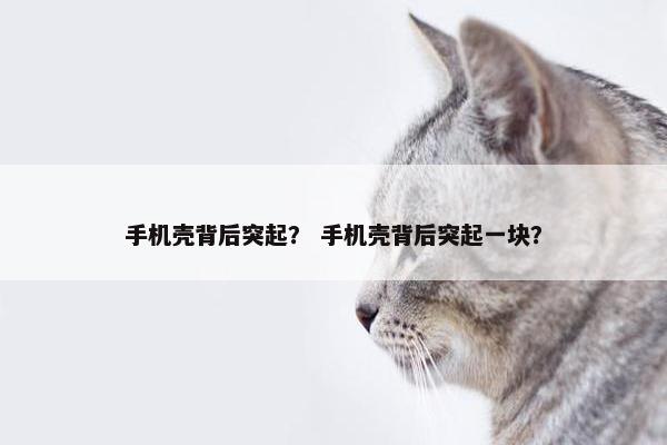 手机壳背后突起? 手机壳背后突起一块? 手机壳背后突起? 手机壳背后突起一块?