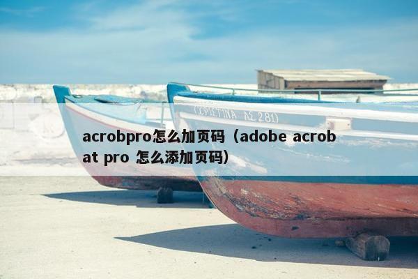 acrobpro怎么加页码（adobe acrobat pro 怎么添加页码）
