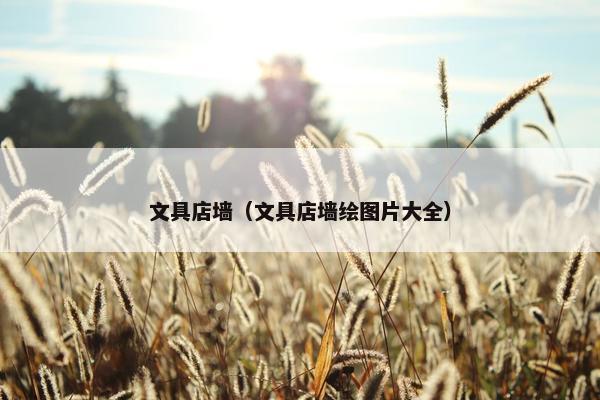 文具店墙（文具店墙绘图片大全）