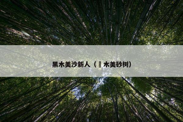 黑木美沙新人（柾木美砂树）