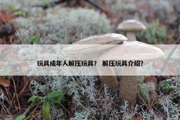 玩具成年人解压玩具？ 解压玩具介绍？