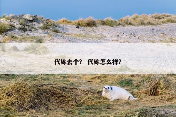 代练去个？ 代练怎么样？