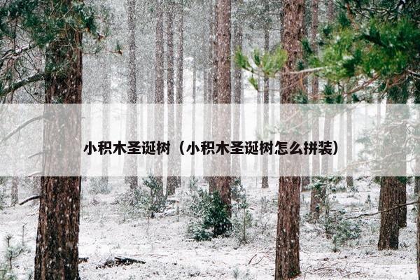 小积木圣诞树(小积木圣诞树怎么拼装) 小积木圣诞树(小积木圣诞树怎么拼装)