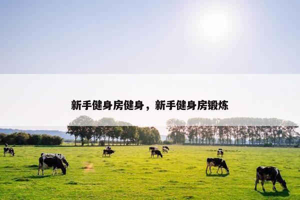 新手健身房健身,新手健身房锻炼 新手健身房健身,新手健身房锻炼