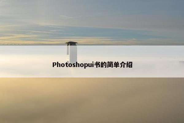 Photoshopui书的简单介绍