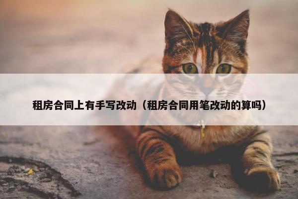 租房合同上有手写改动(租房合同用笔改动的算吗) 租房合同上有手写改动(租房合同用笔改动的算吗)
