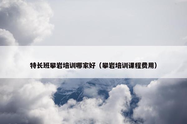 特长班攀岩培训哪家好(攀岩培训课程费用) 特长班攀岩培训哪家好(攀岩培训课程费用)