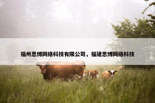 福州思博网络科技有限公司,福建思博网络科技 福州思博网络科技有限公司,福建思博网络科技