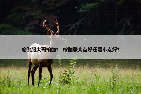 瑜伽服大码瑜伽? 瑜伽服大点好还是小点好? 瑜伽服大码瑜伽? 瑜伽服大点好还是小点好?