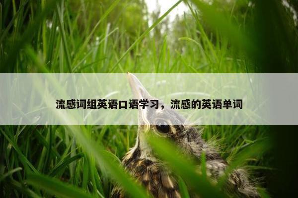 流感词组英语口语学习,流感的英语单词 流感词组英语口语学习,流感的英语单词