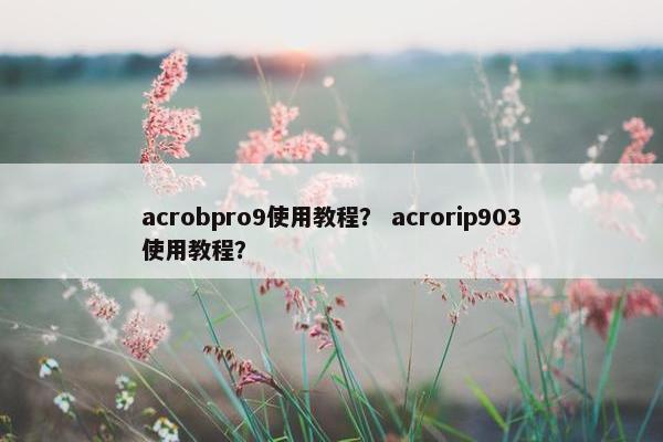 acrobpro9使用教程？ acrorip903使用教程？