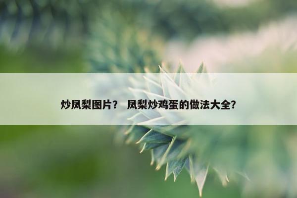 炒凤梨图片？ 凤梨炒鸡蛋的做法大全？