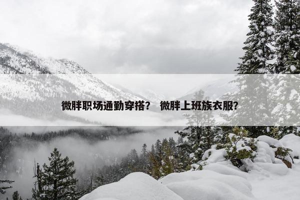 微胖职场通勤穿搭？ 微胖上班族衣服？