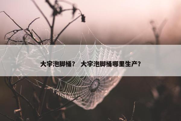 大宇泡脚桶？ 大宇泡脚桶哪里生产？