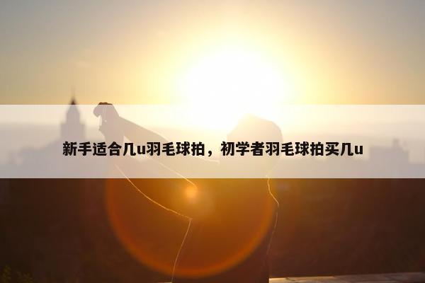 新手适合几u羽毛球拍，初学者羽毛球拍买几u