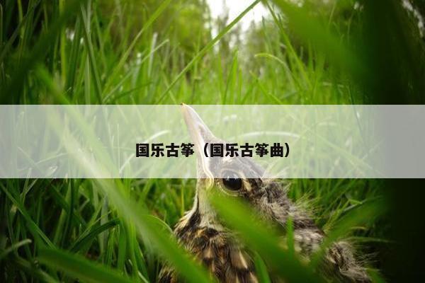 国乐古筝（国乐古筝曲）