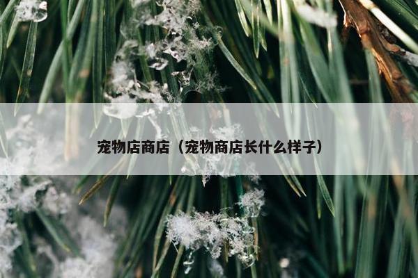 宠物店商店（宠物商店长什么样子）