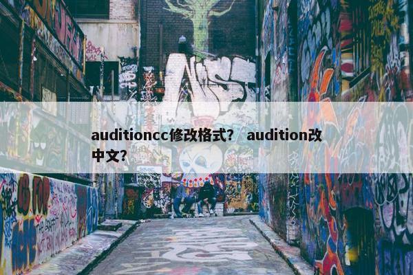 auditioncc修改格式？ audition改中文？
