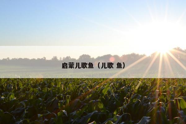 启蒙儿歌鱼（儿歌 鱼）