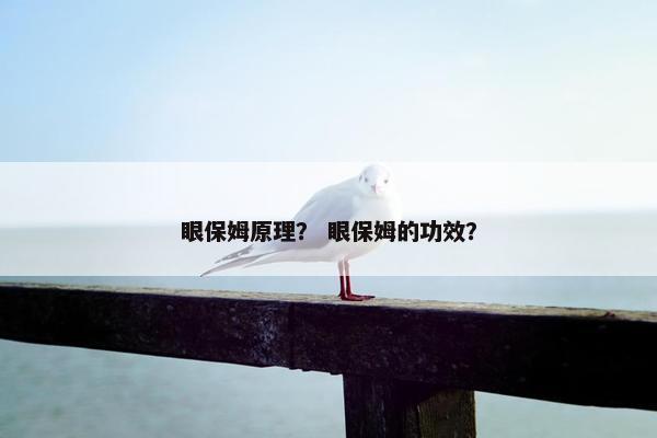 眼保姆原理？ 眼保姆的功效？