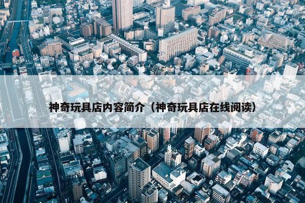 神奇玩具店内容简介（神奇玩具店在线阅读）