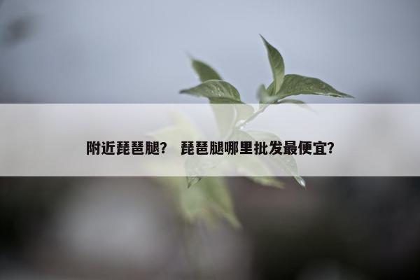 附近琵琶腿？ 琵琶腿哪里批发最便宜？