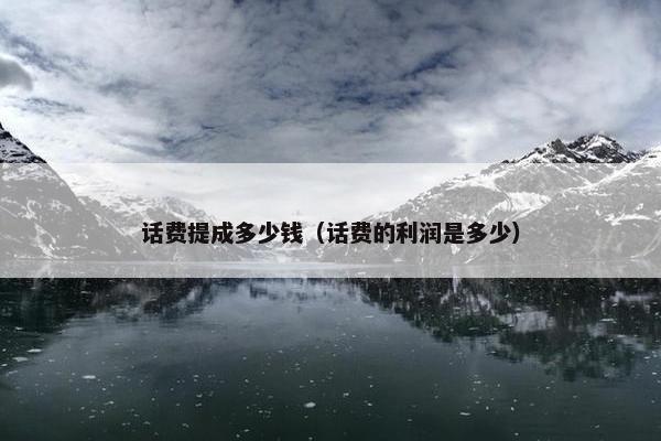 话费提成多少钱（话费的利润是多少）