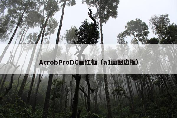 AcrobProDC画红框（a1画图边框）