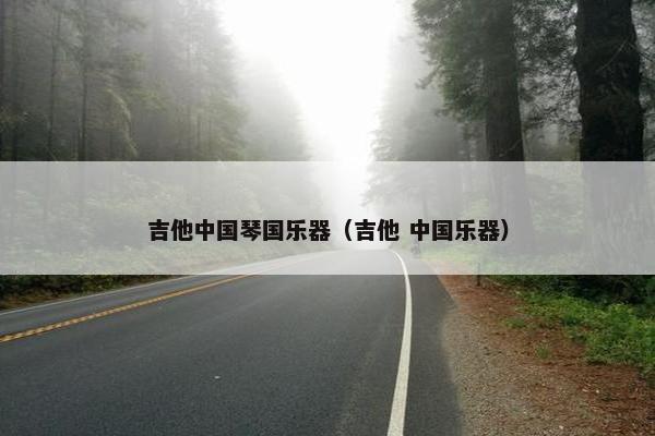 吉他中国琴国乐器（吉他 中国乐器）