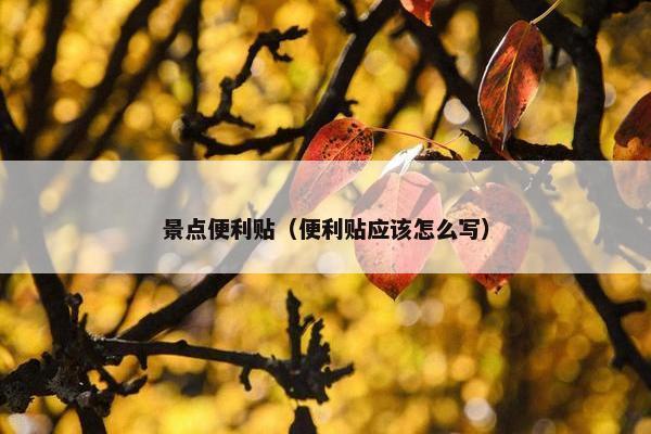 景点便利贴（便利贴应该怎么写）